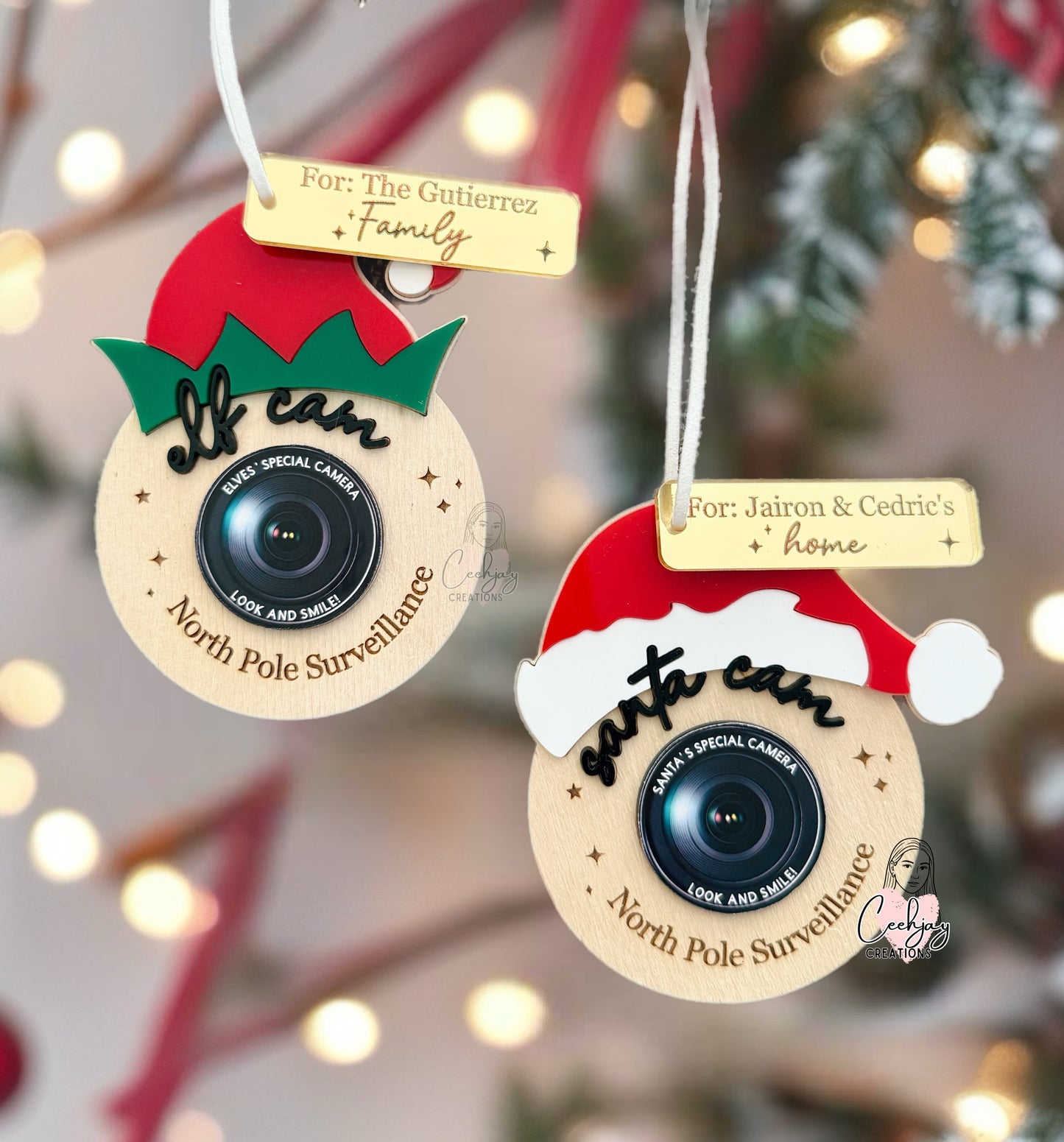Santa and Elf Cam