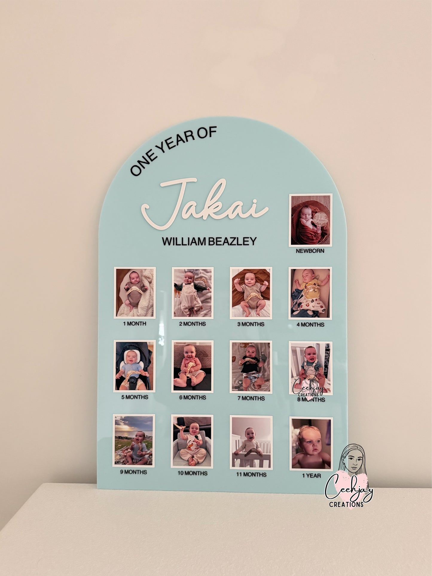 First Year Milestone Photo Board