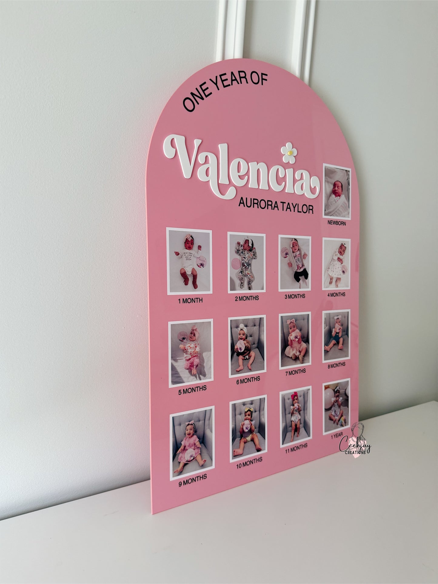 First Year Milestone Photo Board