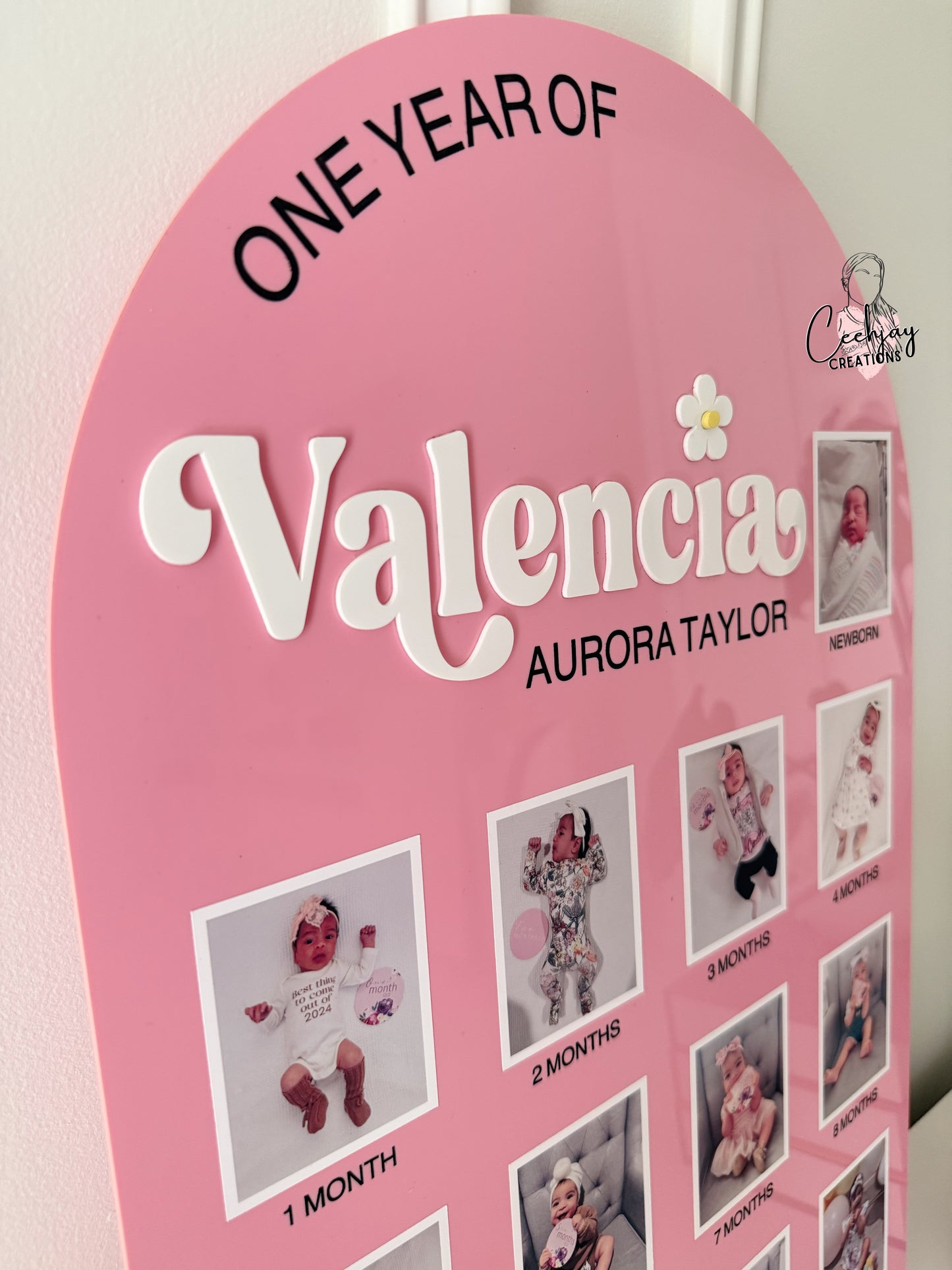 First Year Milestone Photo Board