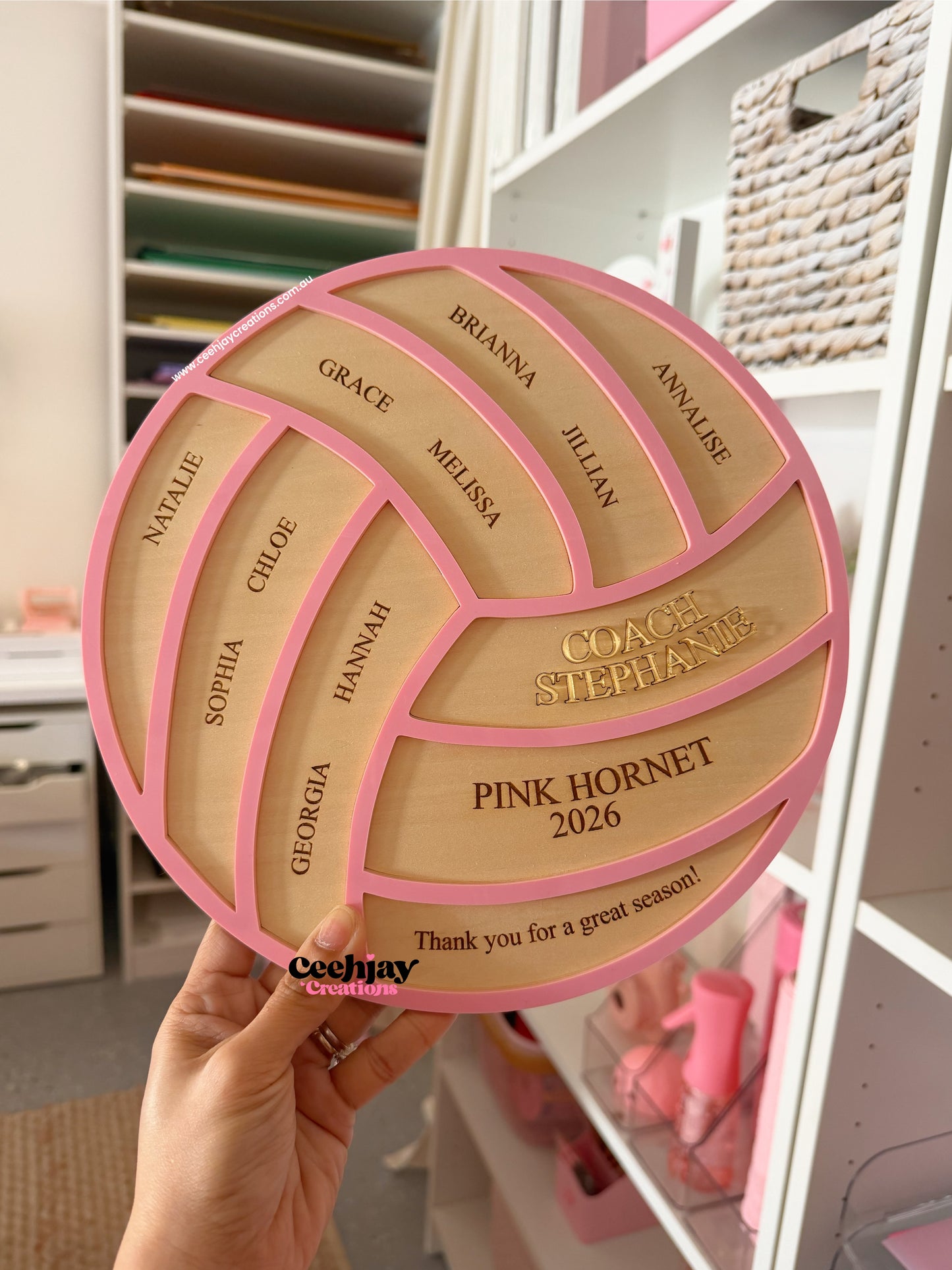 Netball Coach Plaque