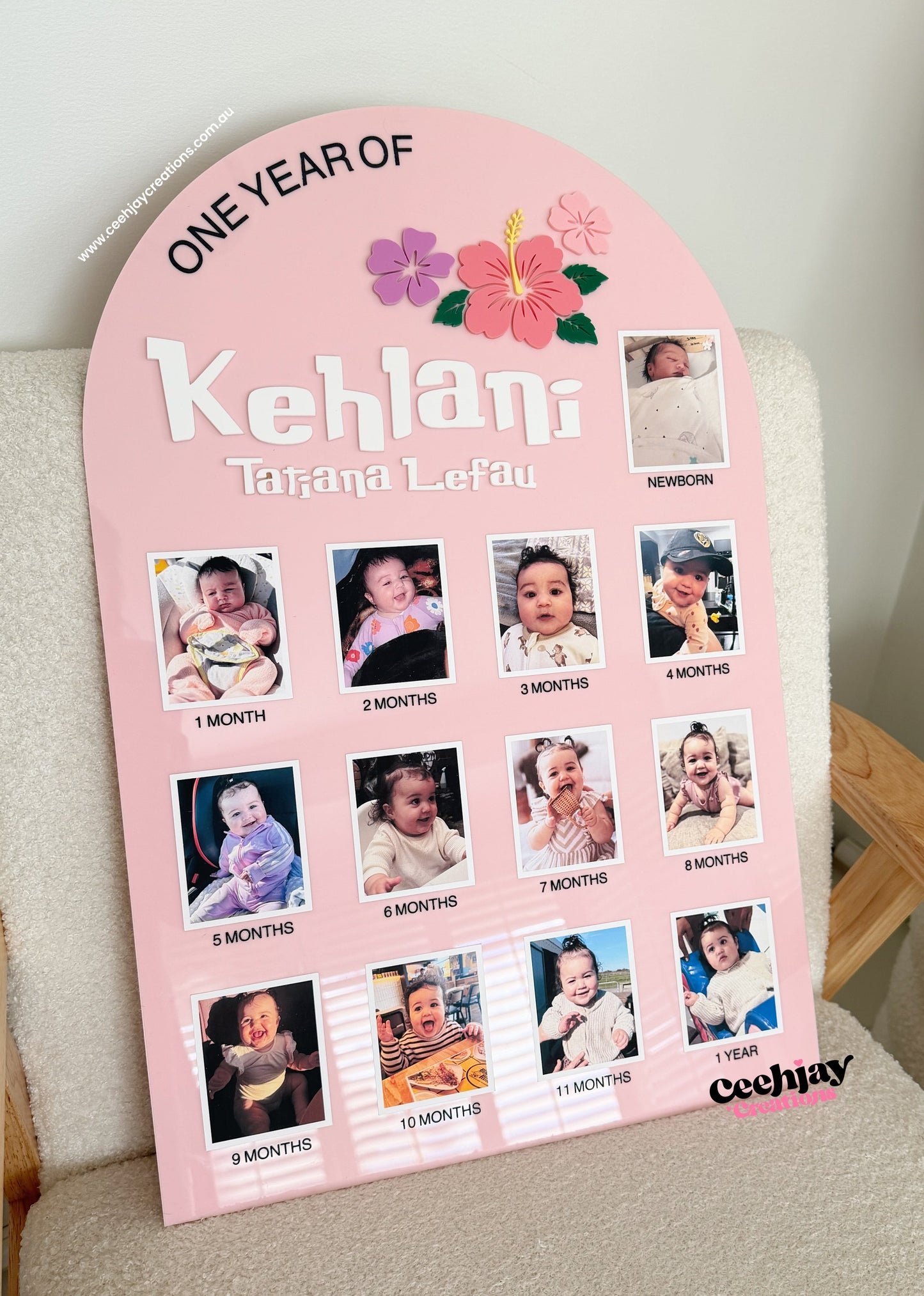 First Year Milestone Photo Board - Hibiscus Design